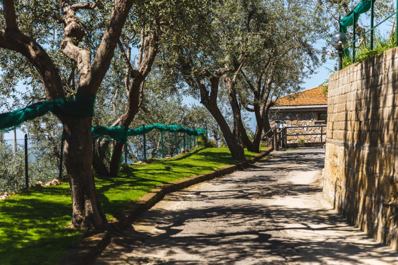 Casa Clementina Marciano Bed & Breakfast Massa Lubrense Eksteriør bilde