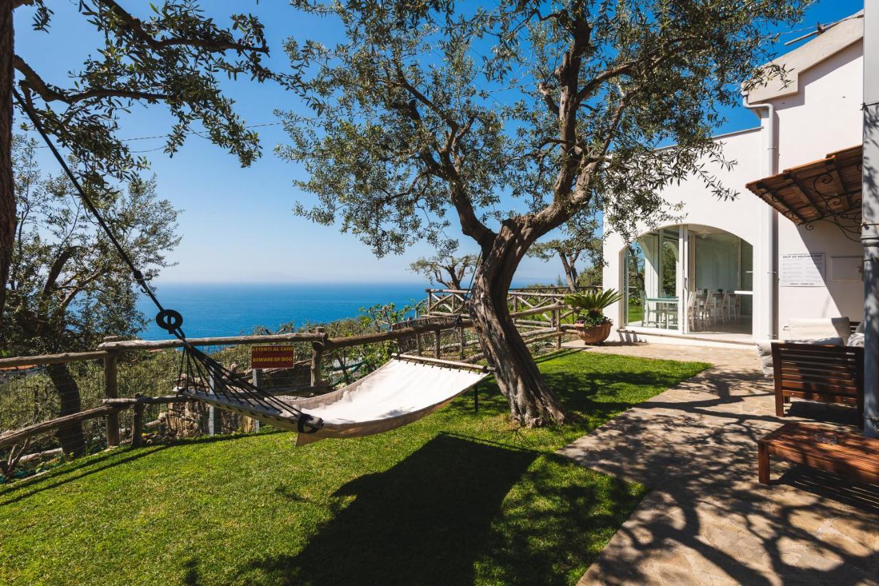 Casa Clementina Marciano Bed & Breakfast Massa Lubrense Eksteriør bilde